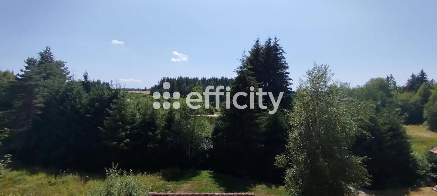Maison à vendre, 442m², Fournols