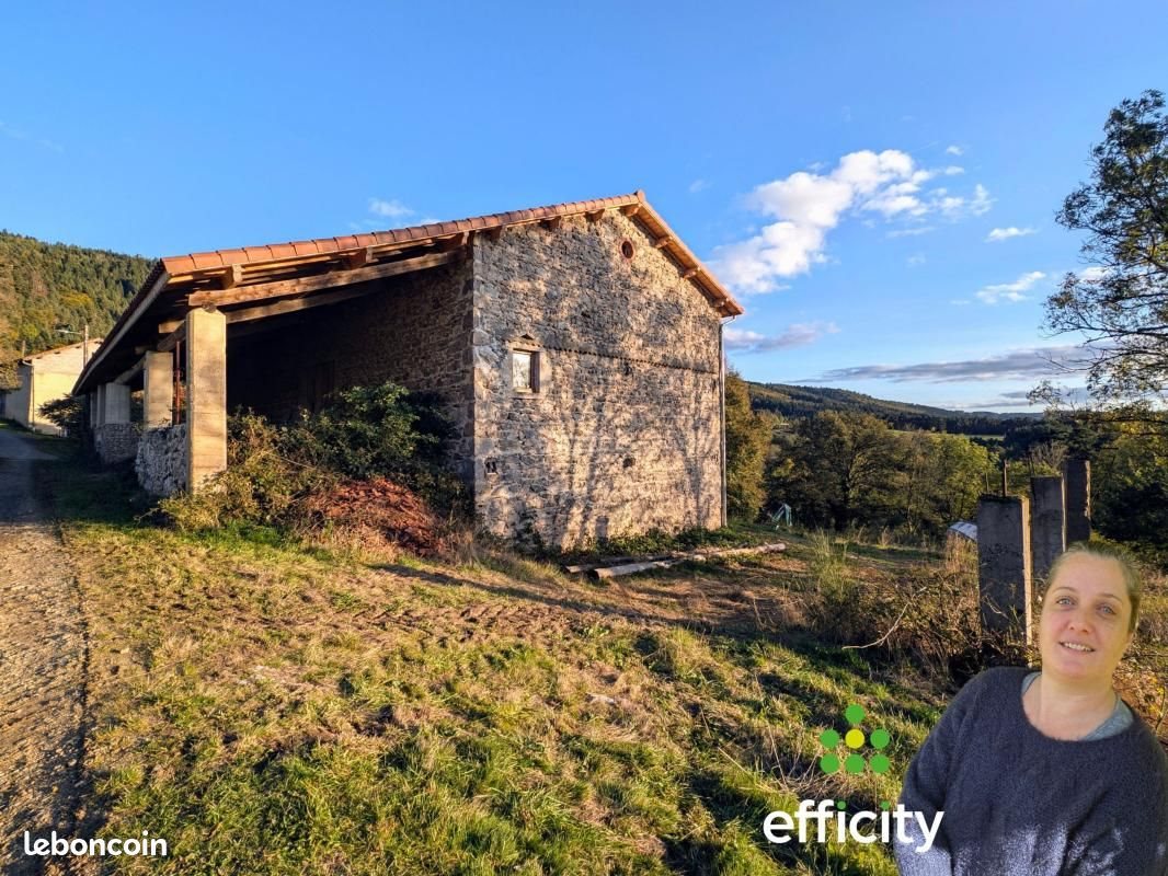 Maison à vendre, 400m², Dore-l'Eglise