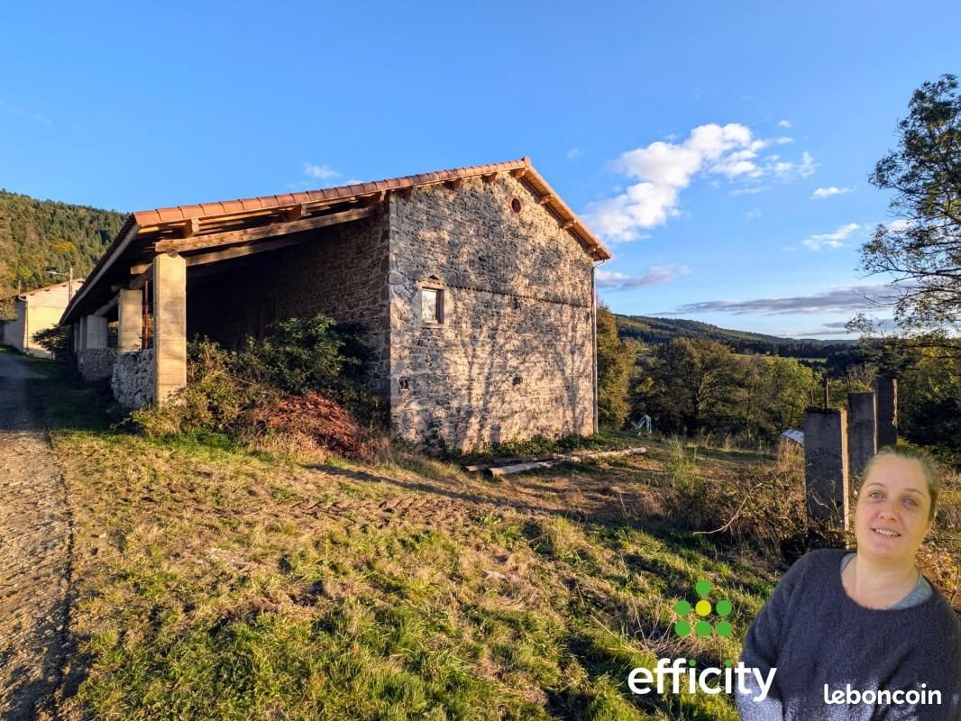 Maison à vendre, 400m², Dore-l'Eglise