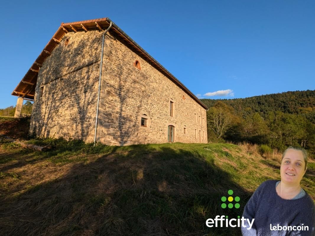 Maison à vendre, 400m², Dore-l'Eglise
