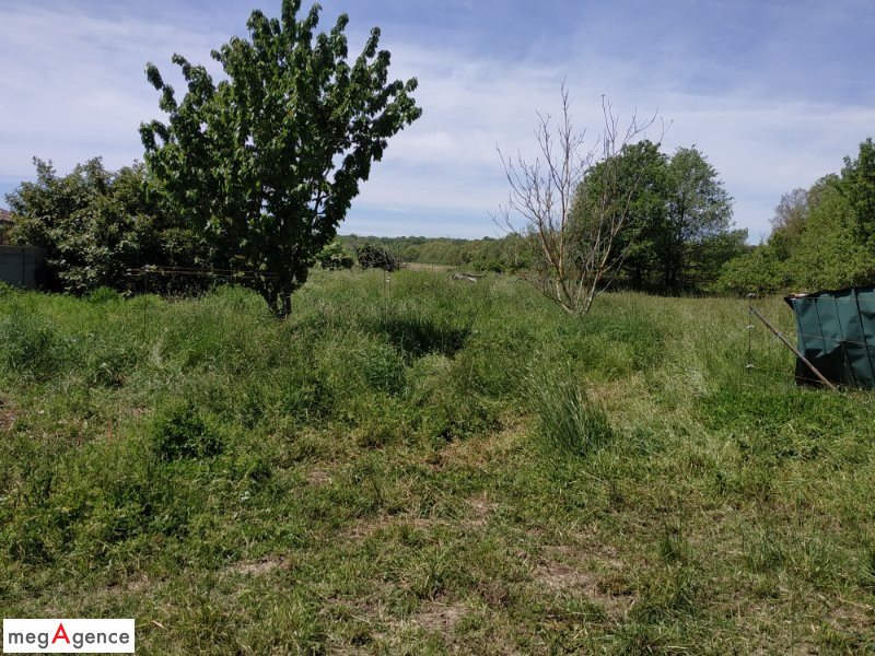 Maison à vendre, 264m², Miremont