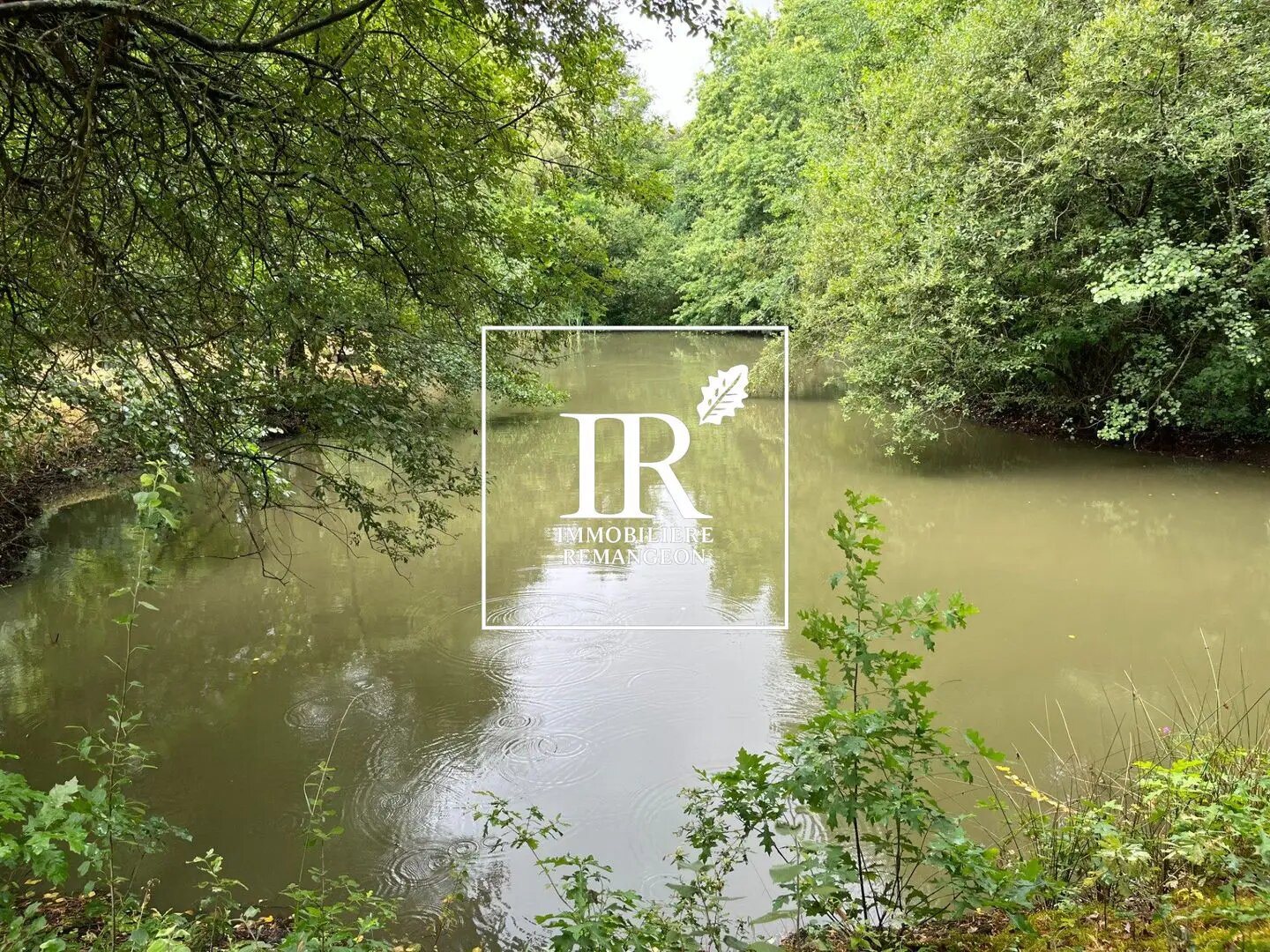 Maison à vendre, 309m², Lamotte-Beuvron
