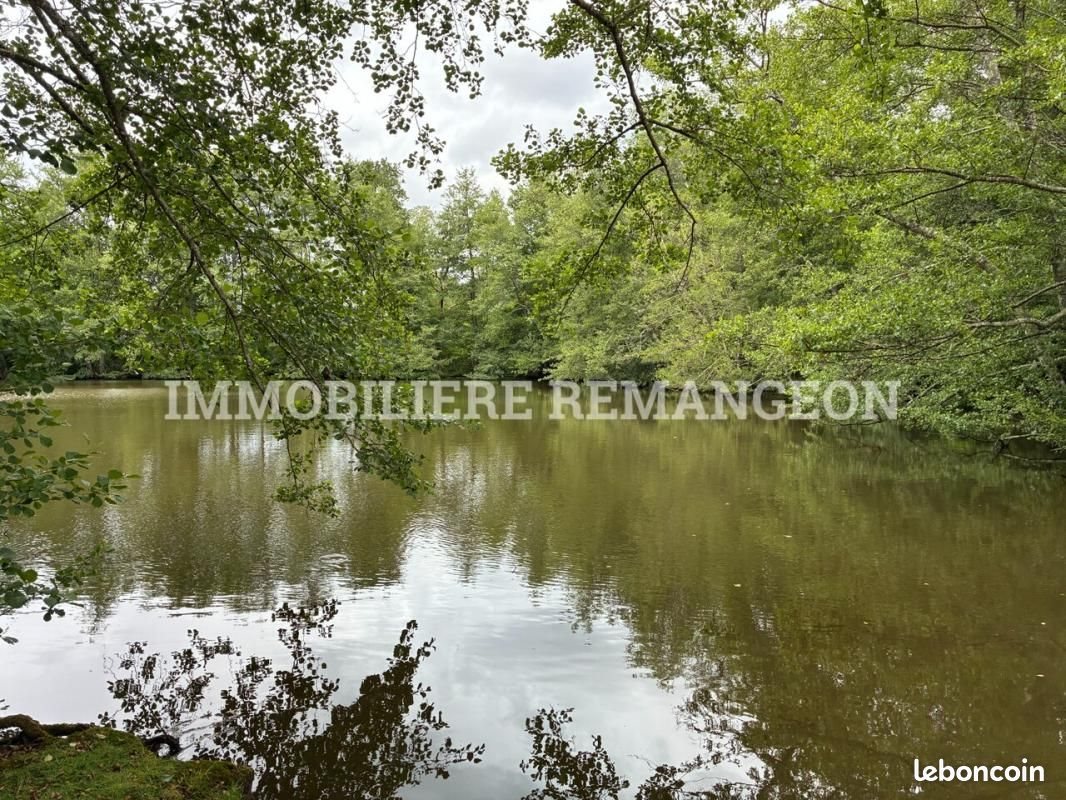 Maison à vendre, 368m², Brinon-sur-Sauldre