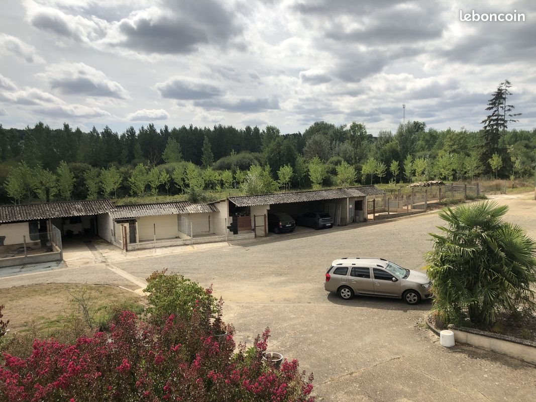 Maison à vendre, 177m², Le Grand-Lucé