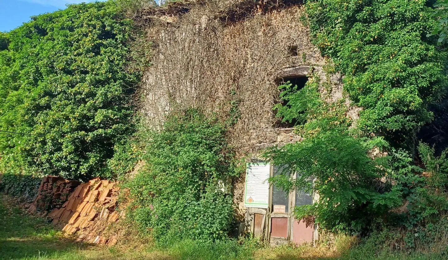 Maison à vendre, 210m², Dargoire