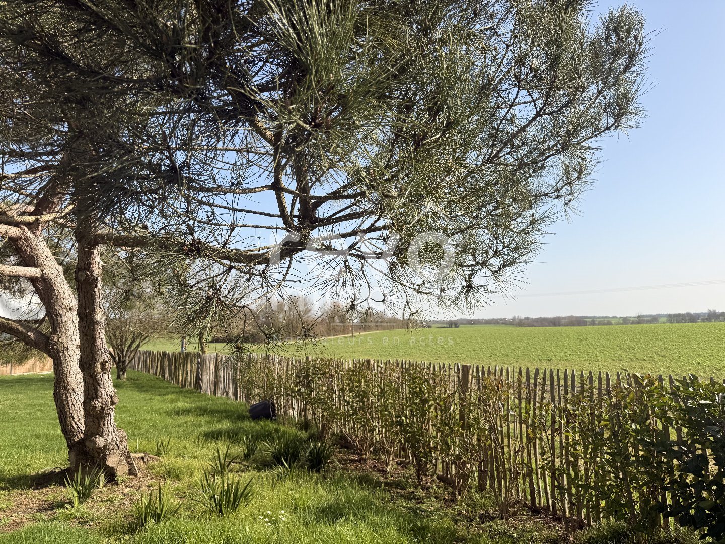 Maison à vendre, 141m², Les Brouzils