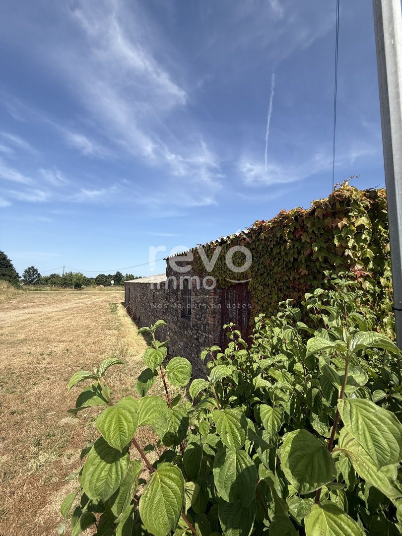 Maison à vendre, 296m², Vieillevigne