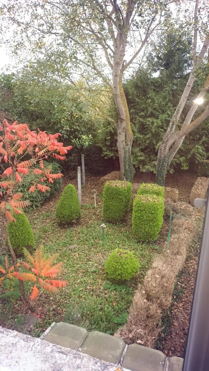 Maison à louer, 62m², Livarot-Pays-d'Auge