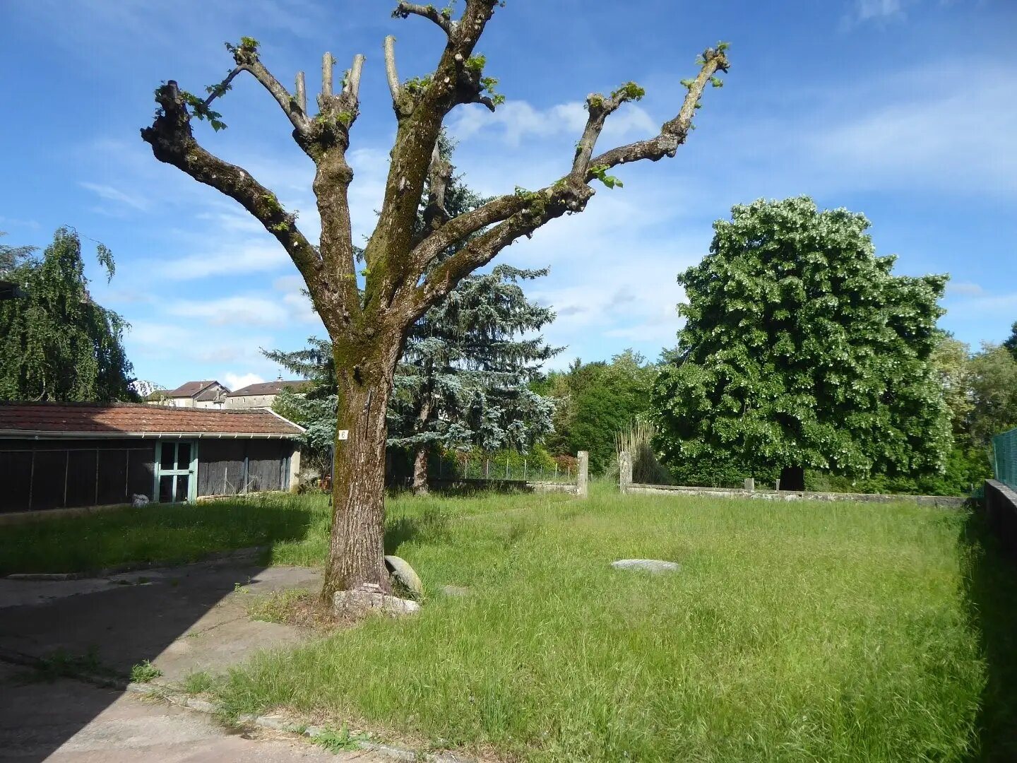 Maison à vendre, 230m², Trept