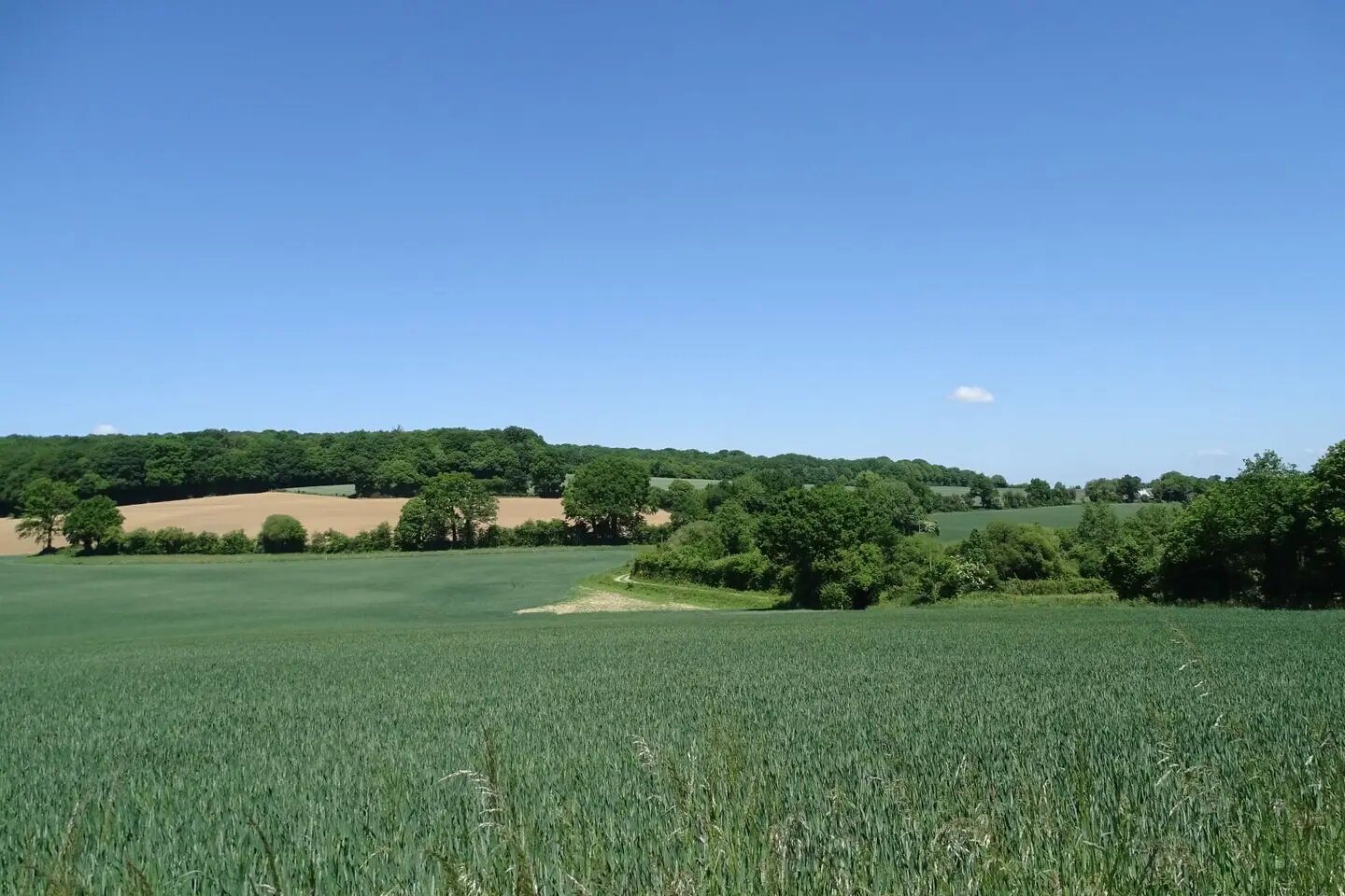 Maison à vendre, 85m², Vimartin-sur-Orthe