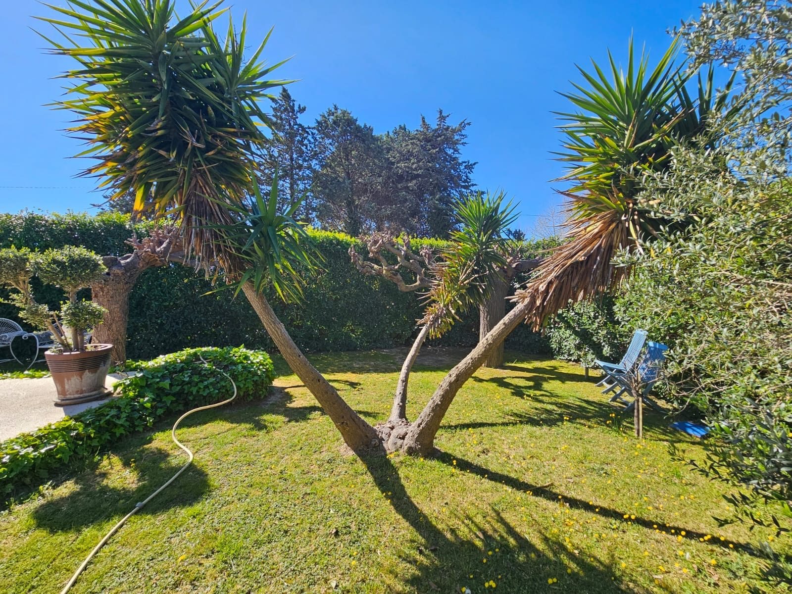 Maison à vendre, 157m², Bouzigues