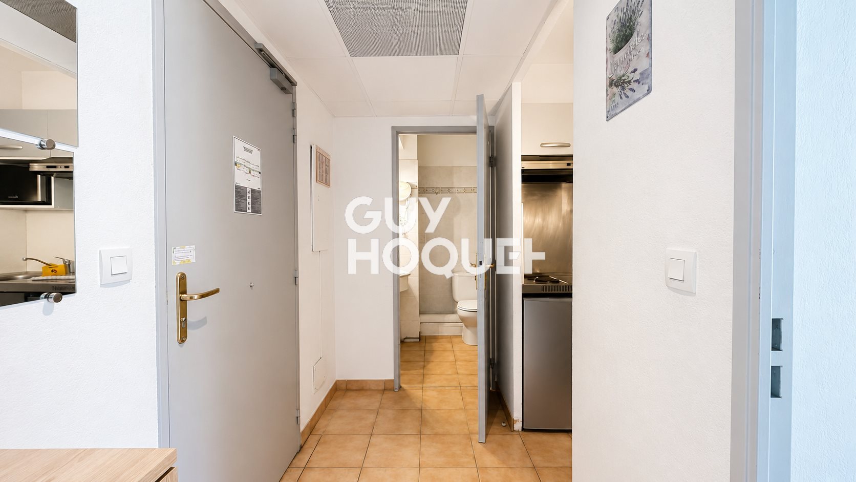 Appartement à vendre, 30m², Mouans-Sartoux
