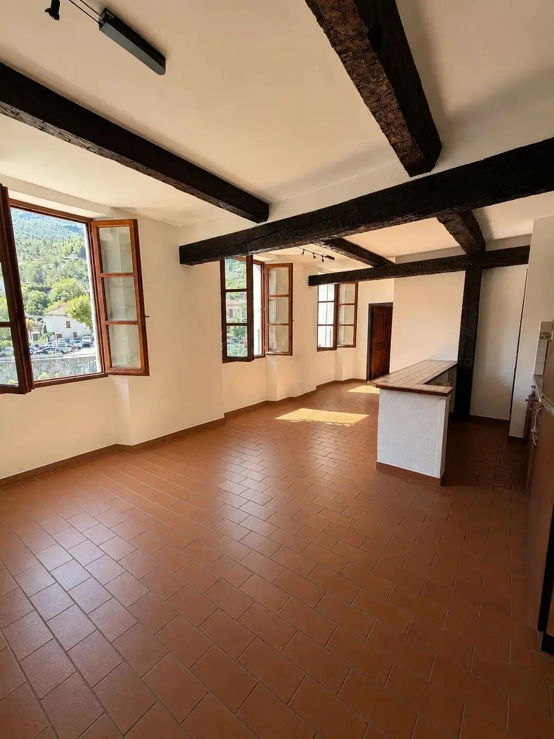 Appartement à vendre, 50m², Entrevaux