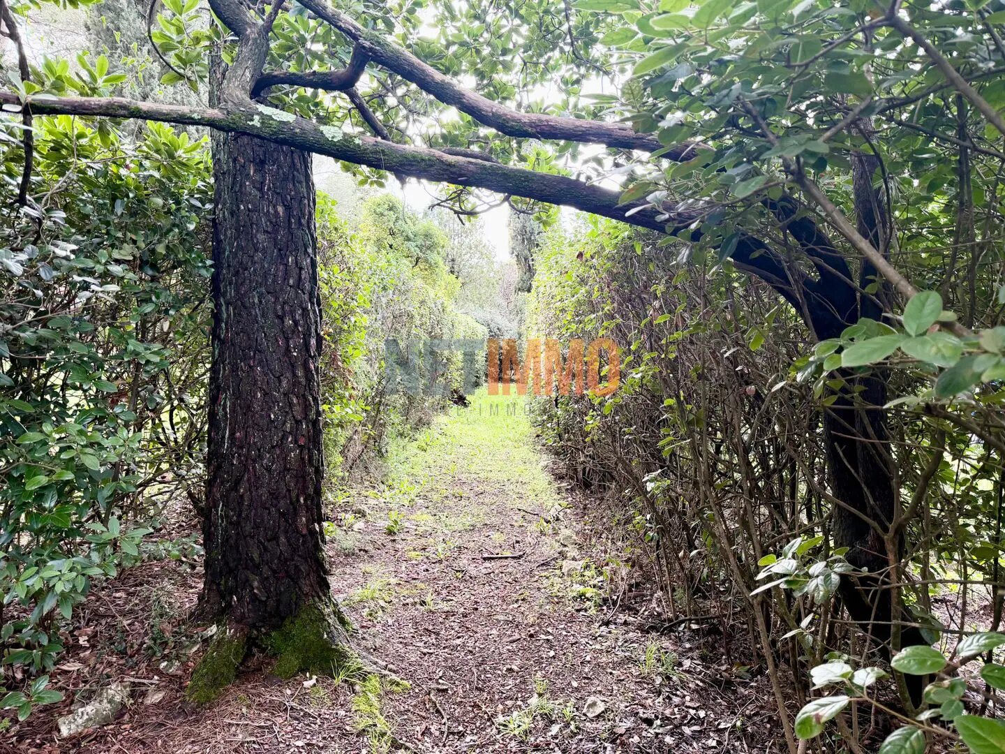 Maison à vendre, 60m², Nîmes