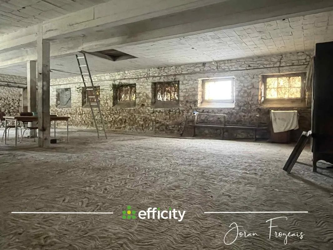 Maison à vendre, 300m², Pleine-Fougères