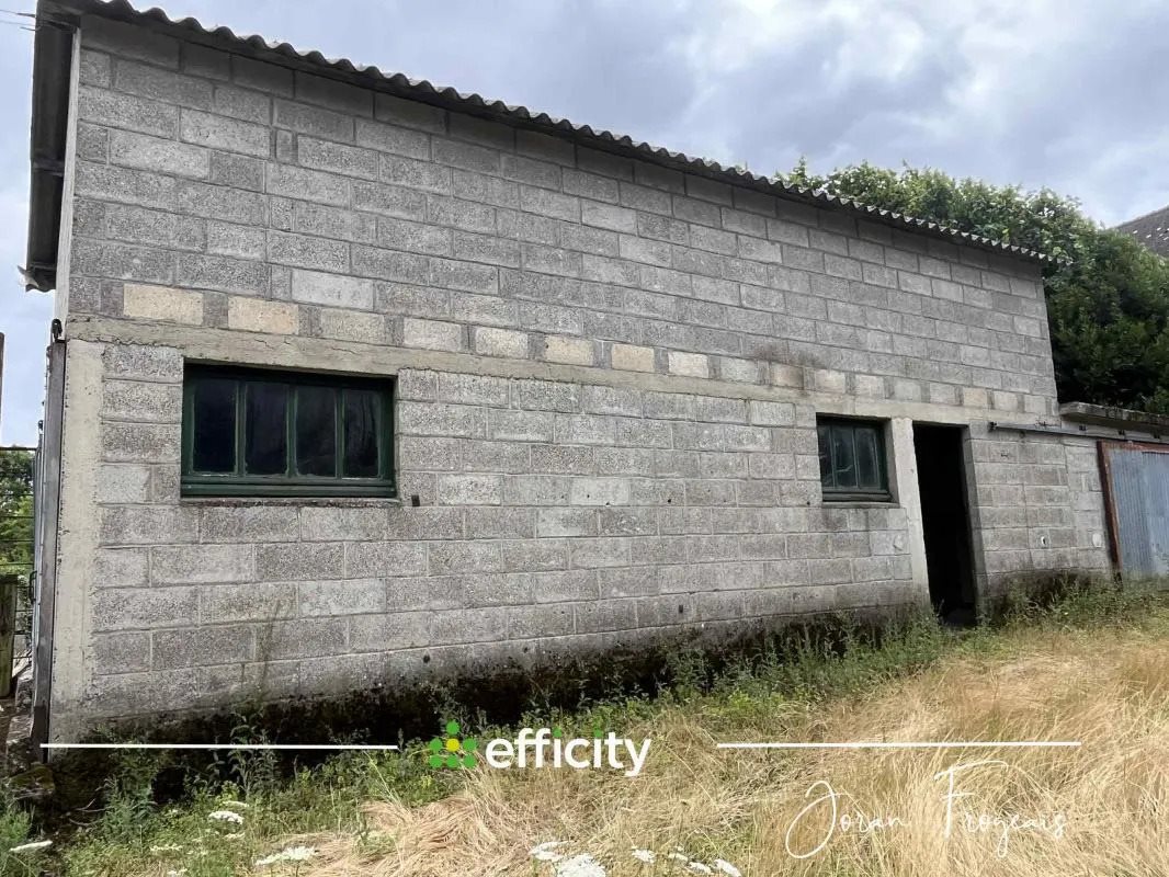 Maison à vendre, 300m², Pleine-Fougères