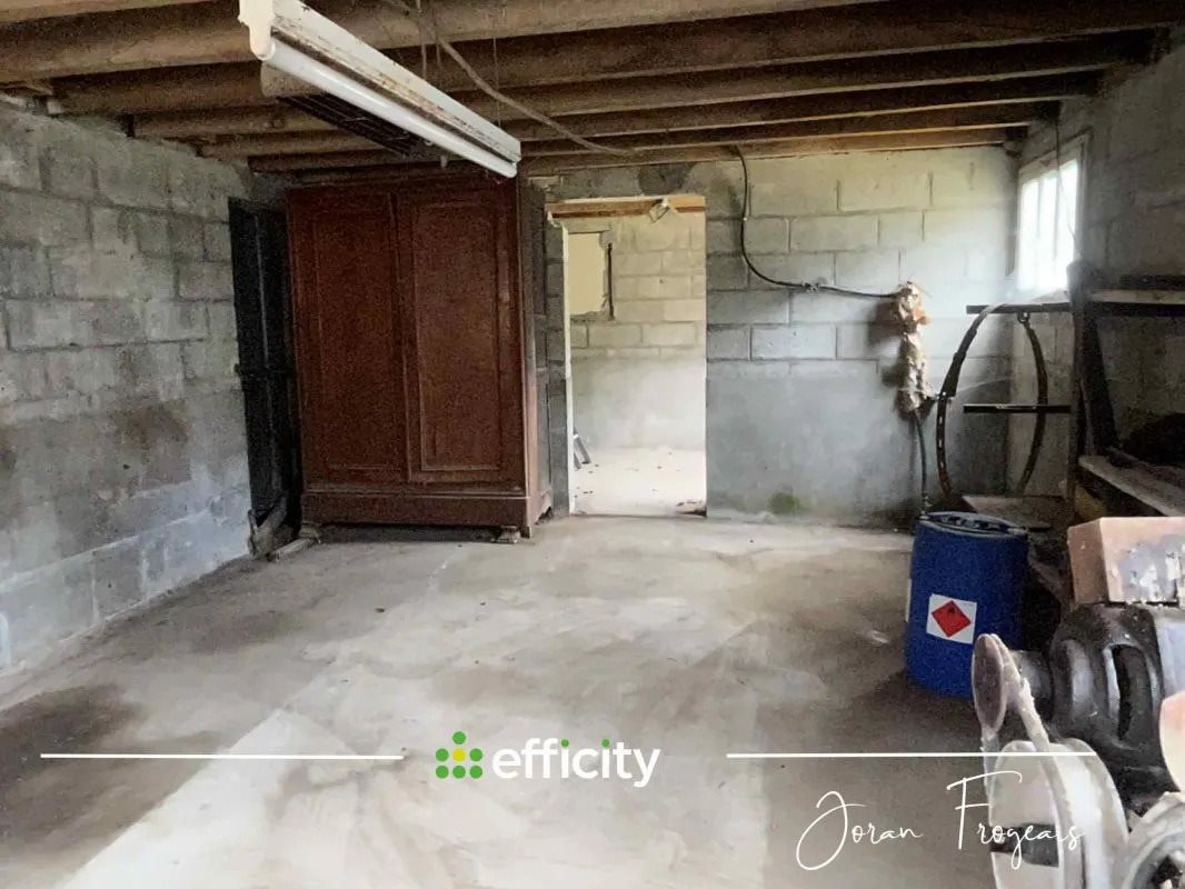 Maison à vendre, 300m², Pleine-Fougères