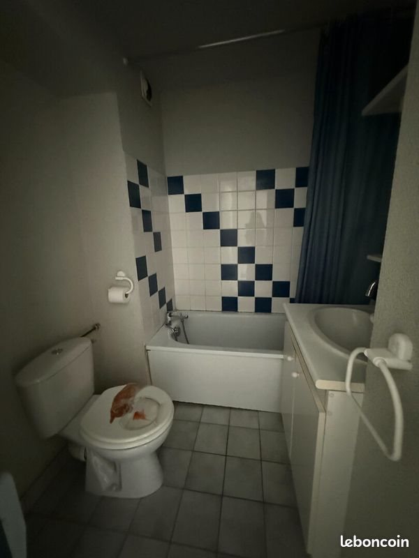 Appartement à louer, 18m², Nancy