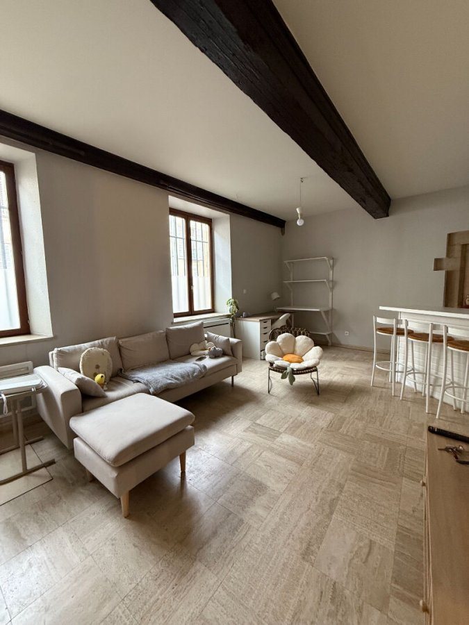 Appartement à louer, 39m², Nancy