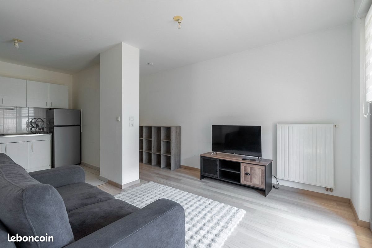 Appartement à vendre, 37m², Nancy