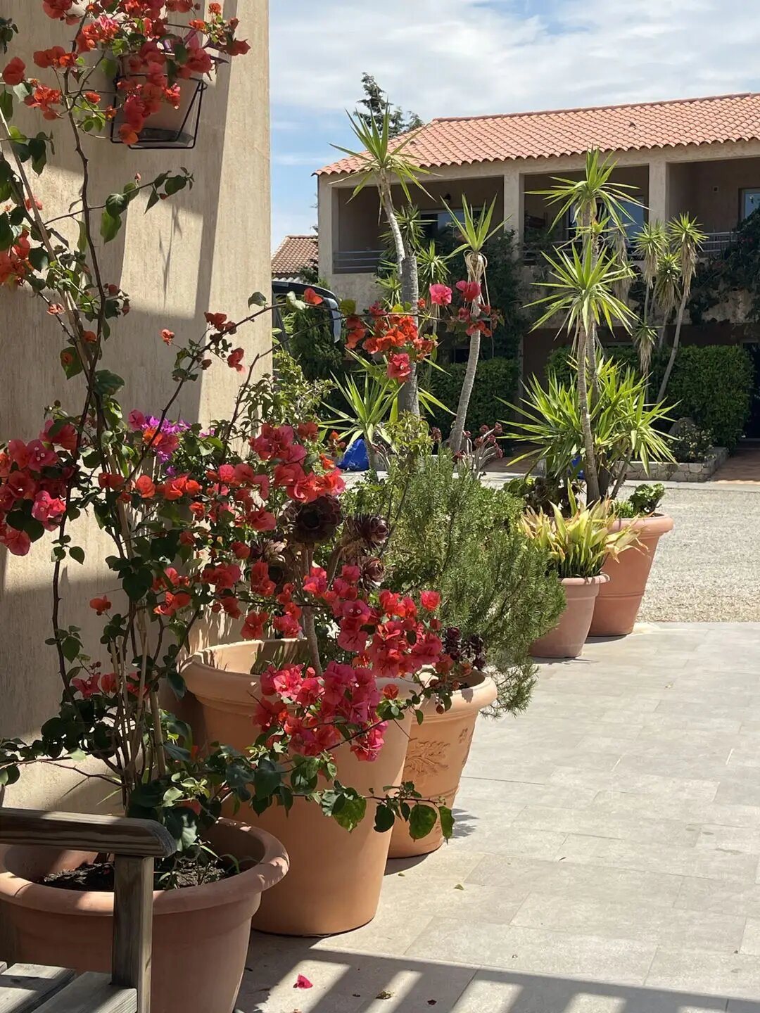 Appartement à vendre, 39m², Monticello