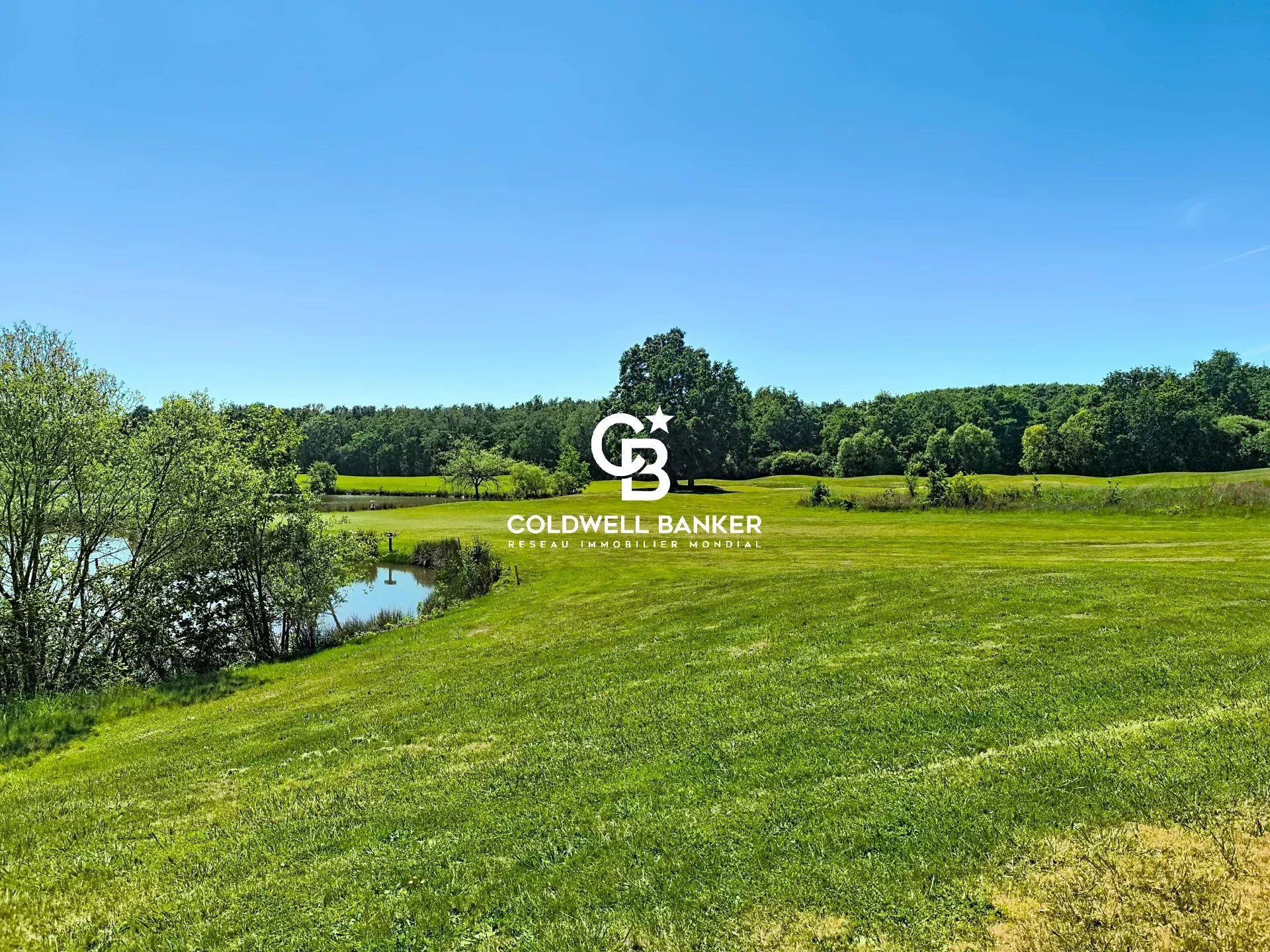Maison à vendre, 263m², Nesmy
