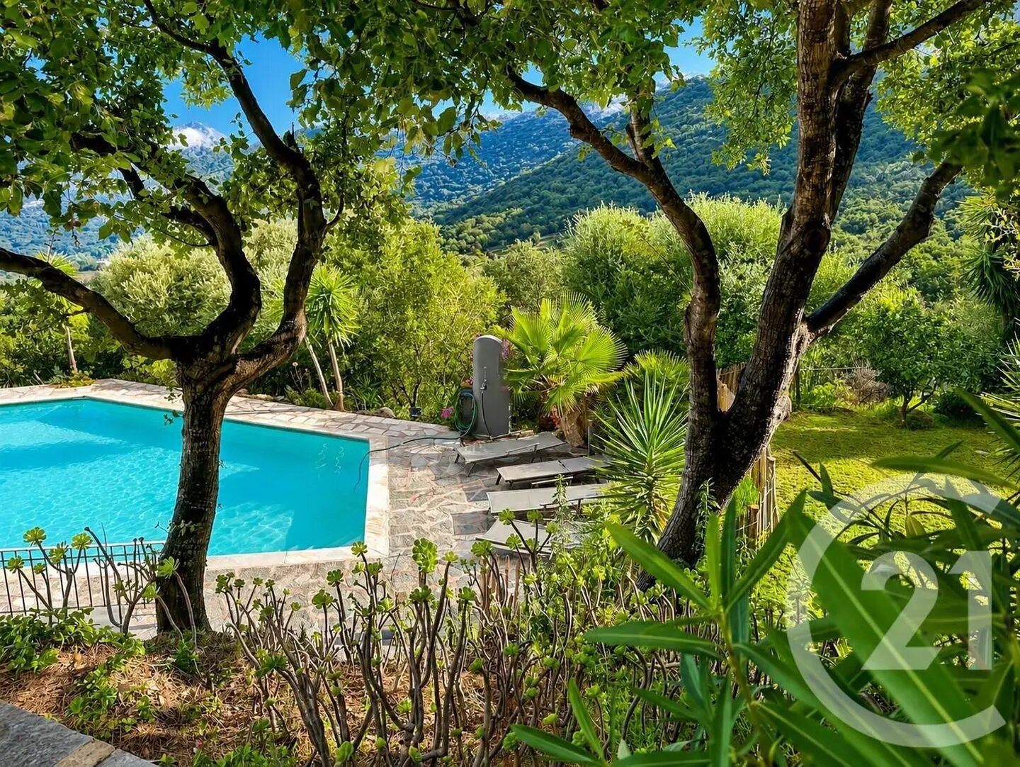Maison à vendre, 242m², Monticello