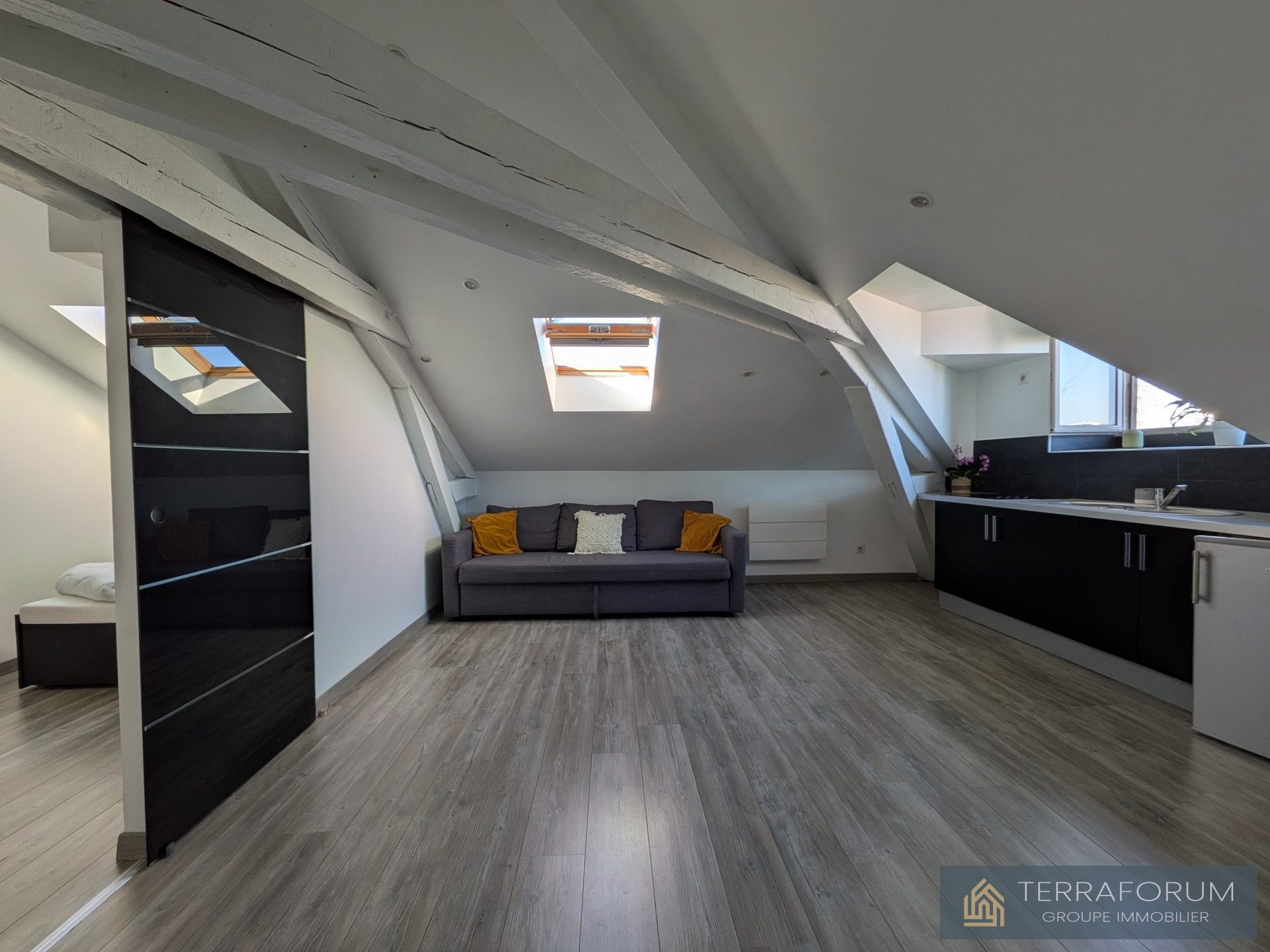 Appartement à vendre, 21m², Nancy