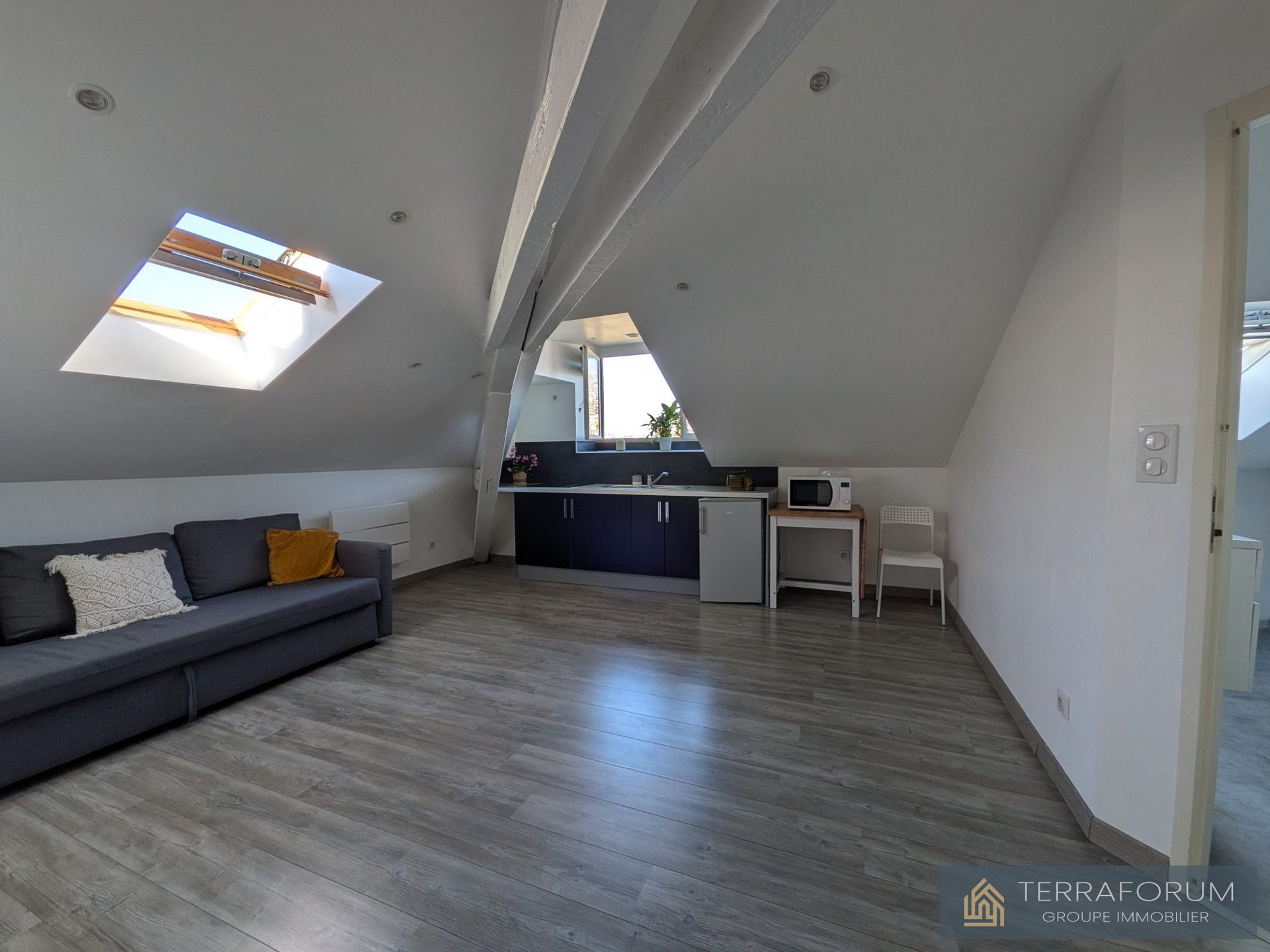 Appartement à vendre, 21m², Nancy