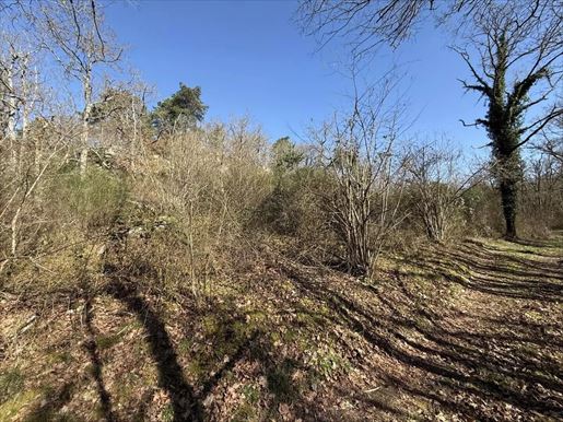 Advert pic 0