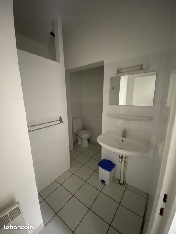 Appartement à louer, 28m², Saint-Etienne