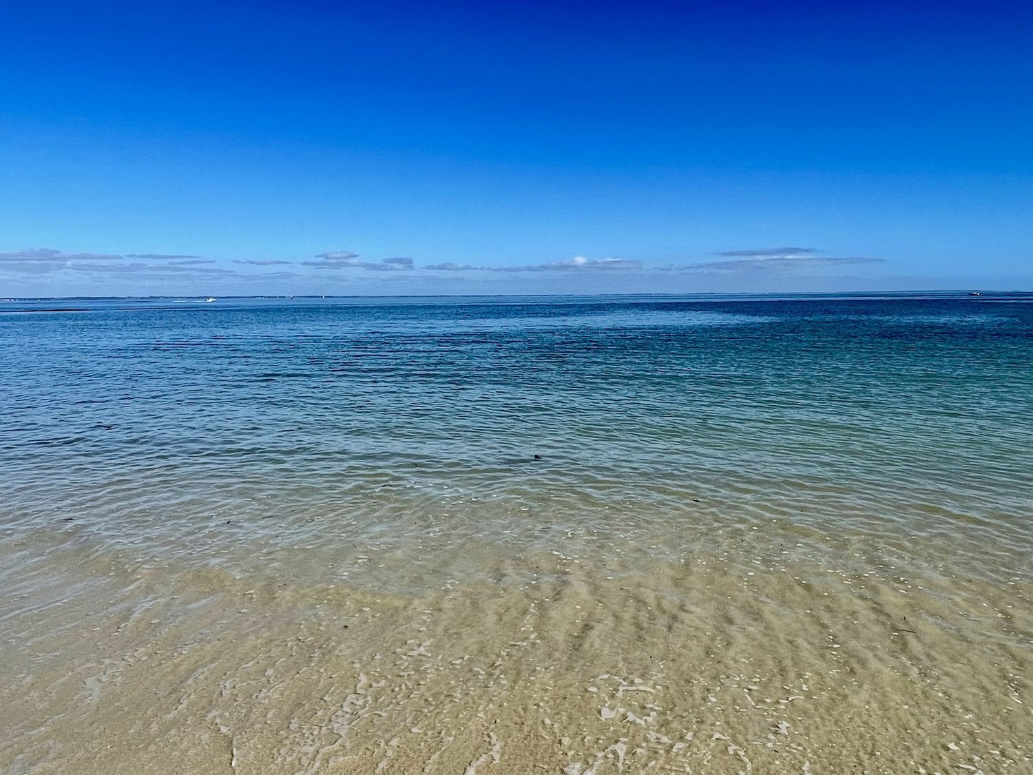 Appartement à vendre, 21m², Quiberon