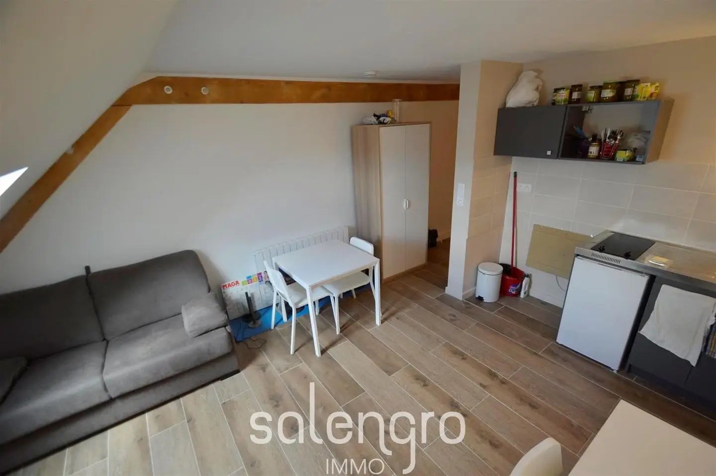 Appartement à louer, 20m², Villeurbanne
