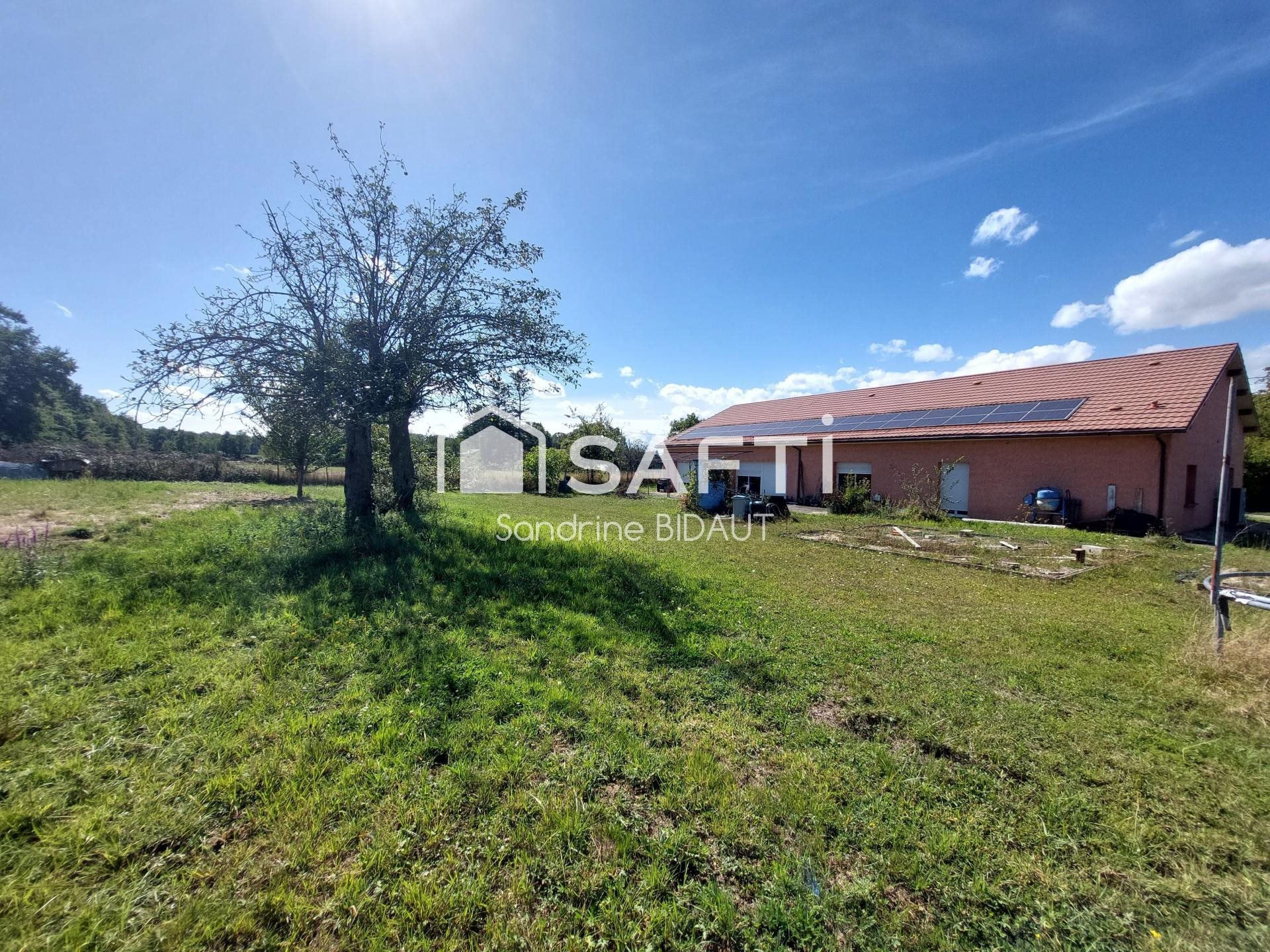 Maison à vendre, 282m², Saint-Trivier-de-Courtes