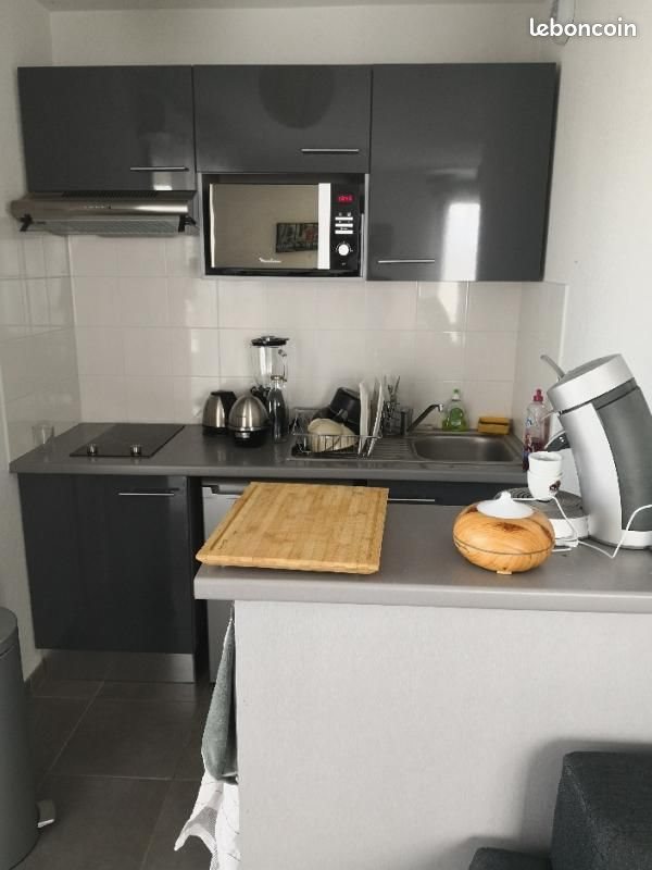 Appartement à louer, 45m², Blagnac