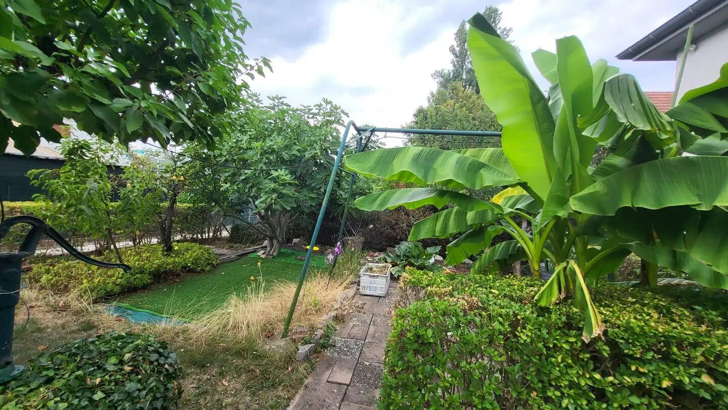 Maison à vendre, 117m², Ostwald