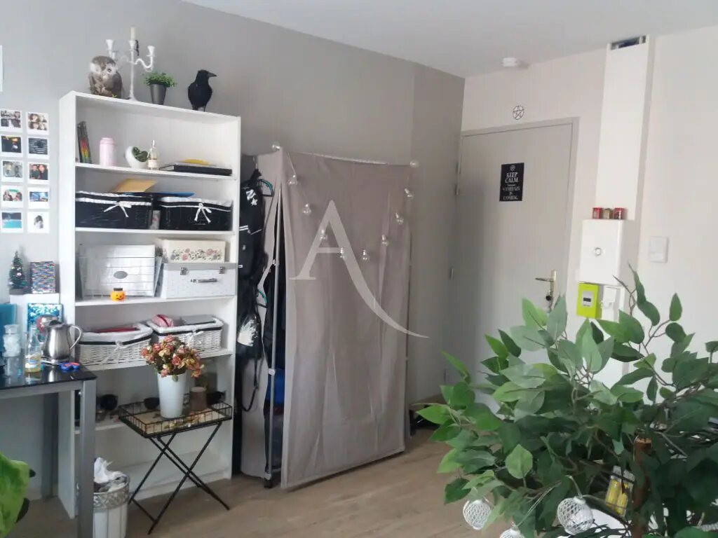 Appartement à louer, 19m², Albi