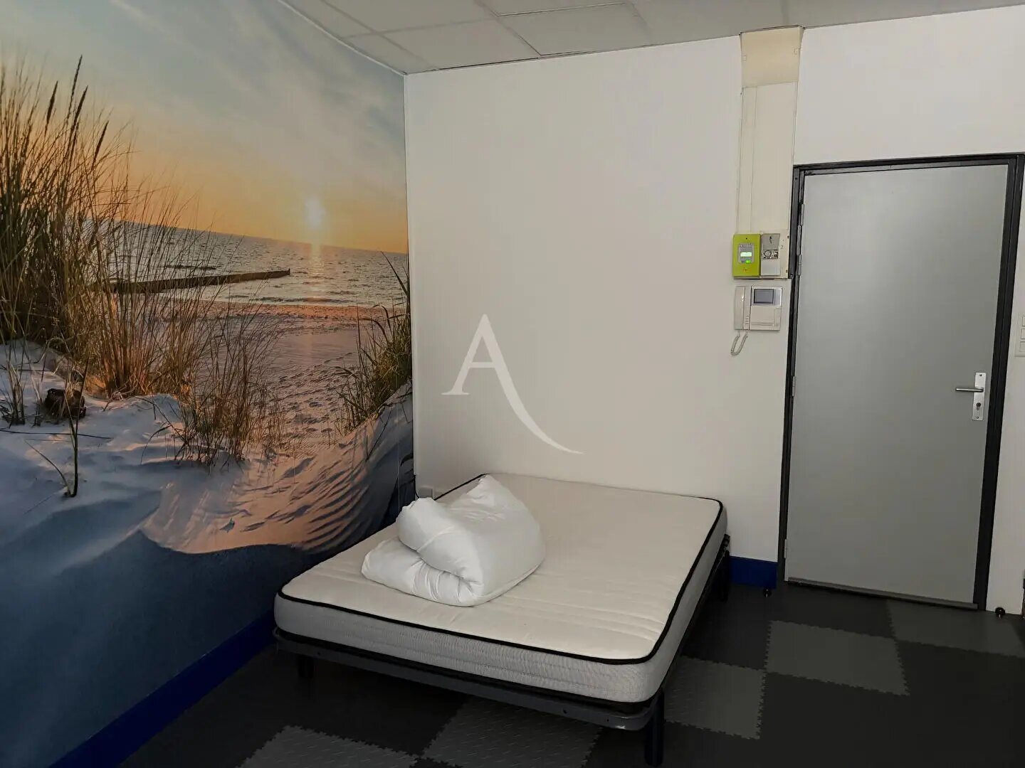Appartement à louer, 35m², Albi