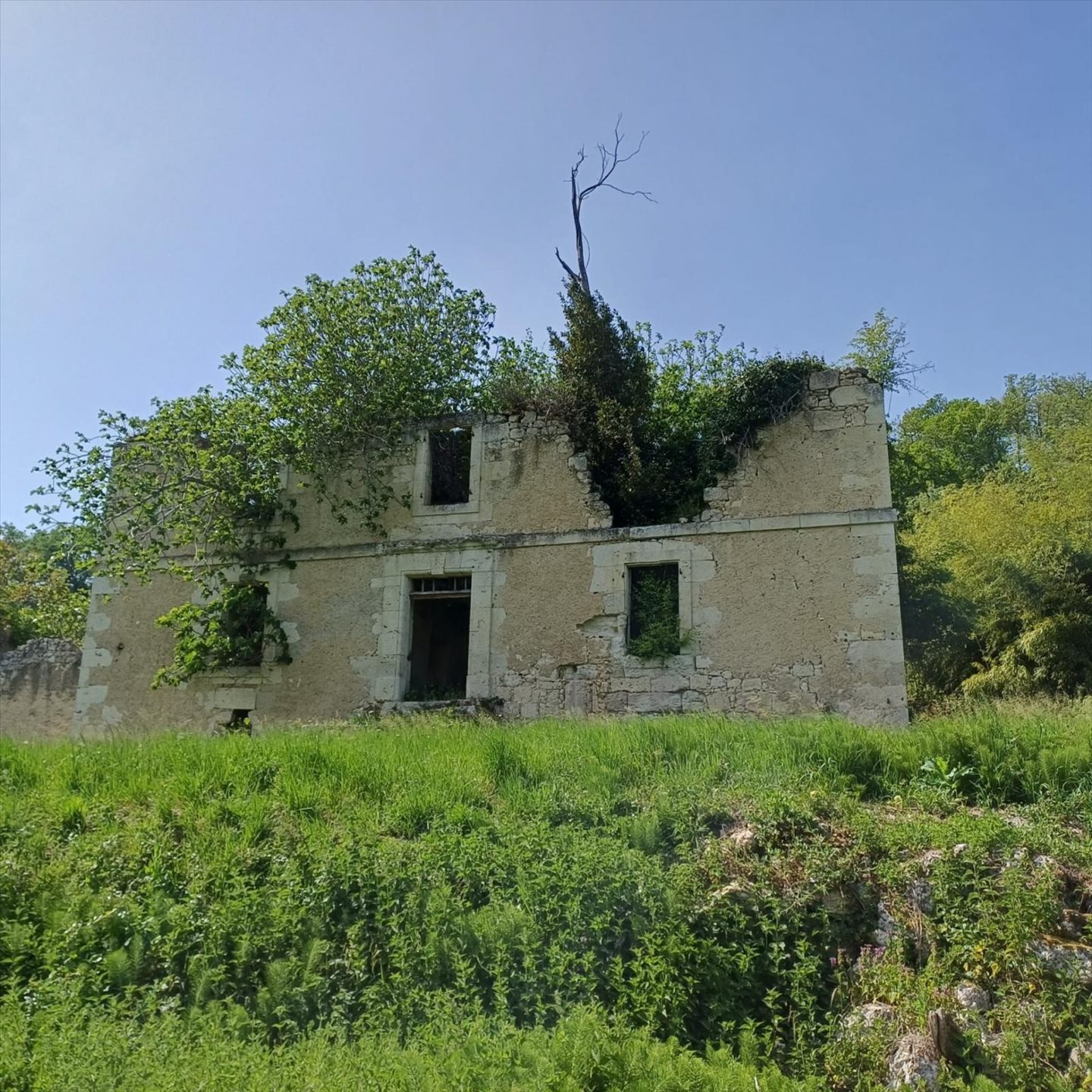 Maison à vendre, 280m², Lectoure