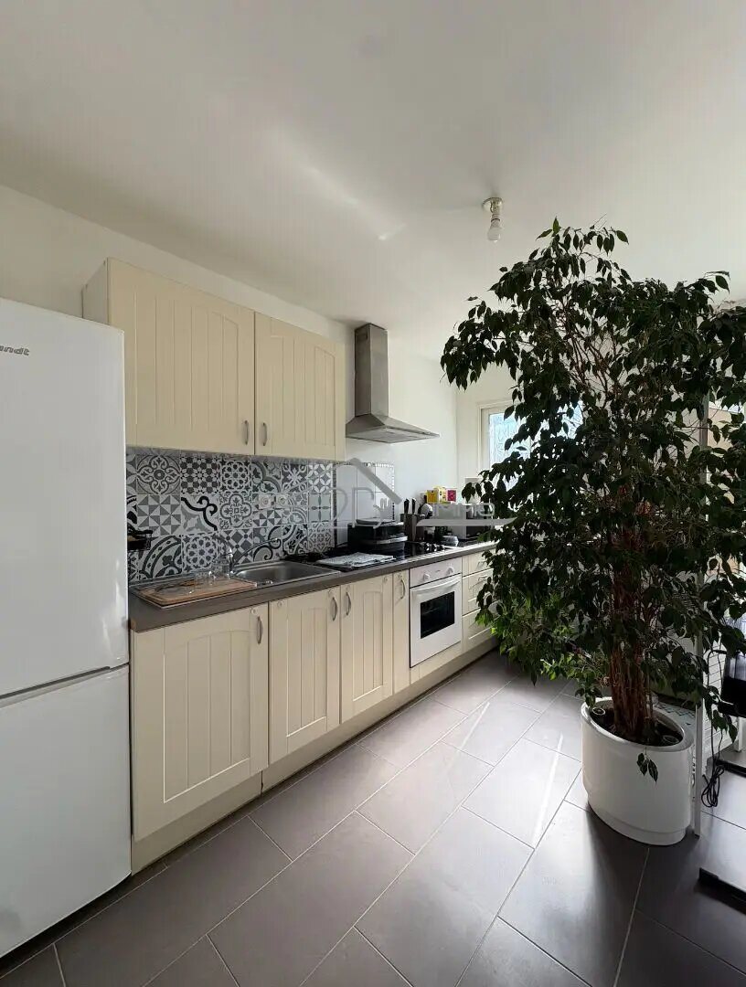 Appartement à louer, 42m², Sisco