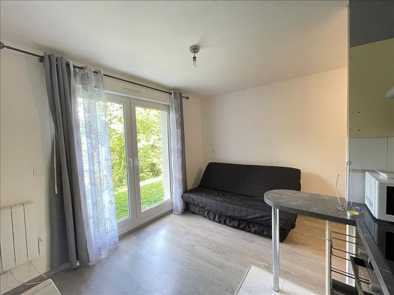Appartement à louer, 19m², Sausheim