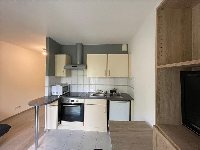 Appartement à louer, 19m², Sausheim