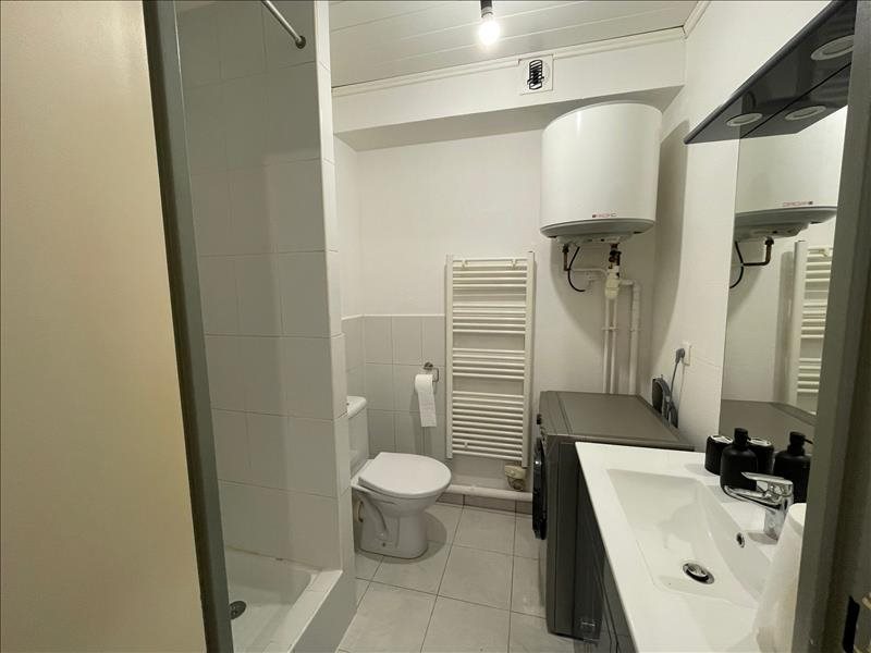 Appartement à louer, 19m², Sausheim