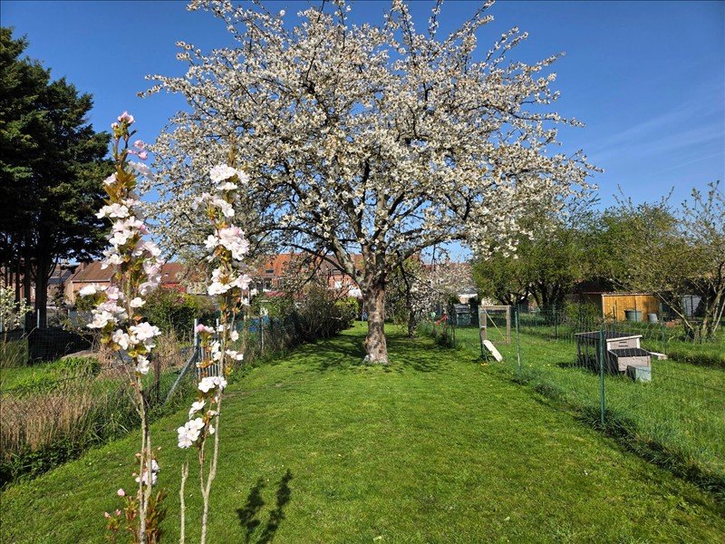 Maison à louer, 160m², Hénin-Beaumont