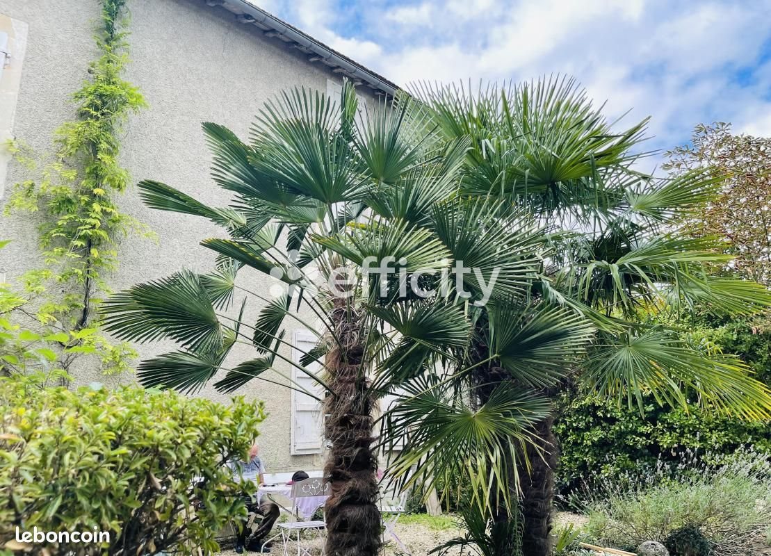 Maison à vendre, 329m², Fontaine-Chalendray