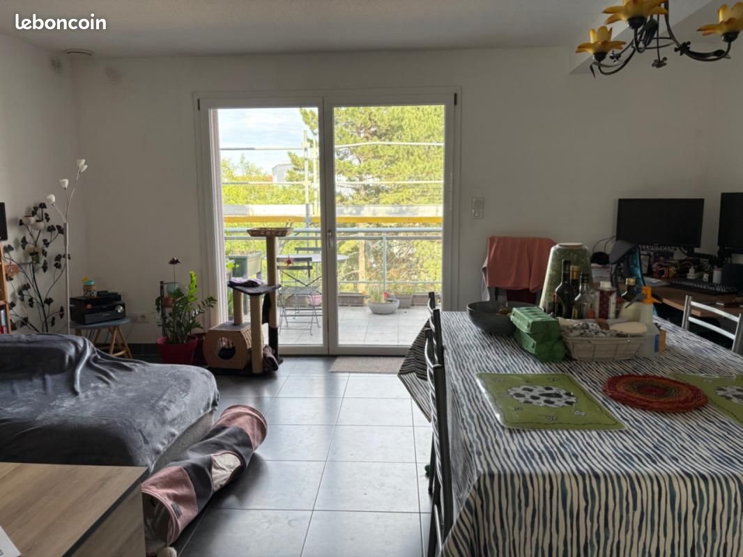 Appartement à louer, 75m², Colmar