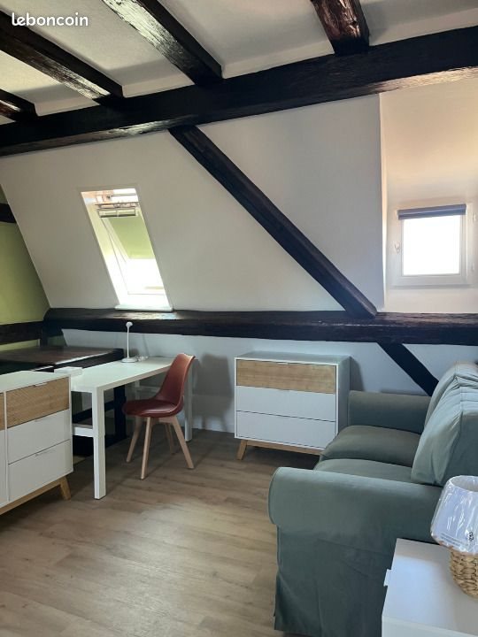 Appartement à louer, 31m², Colmar