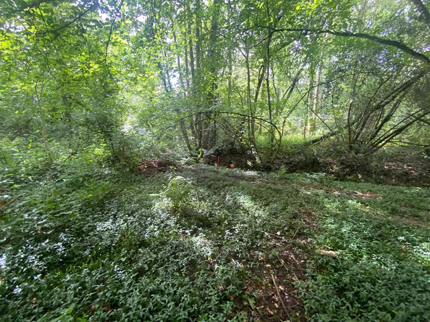 Maison à vendre, 85m², Rouans