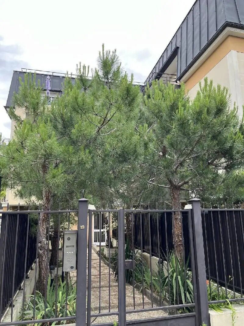 Appartement à vendre, 41m², Neuilly-Plaisance