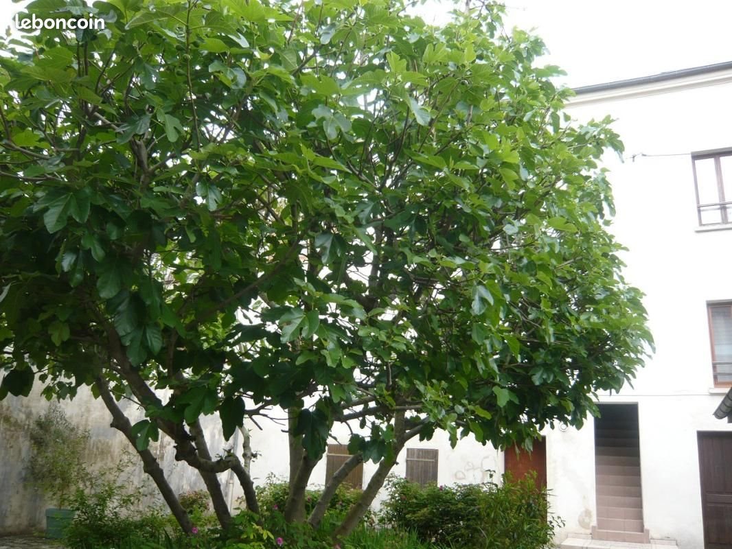 Appartement à vendre, 52m², Méry-sur-Oise